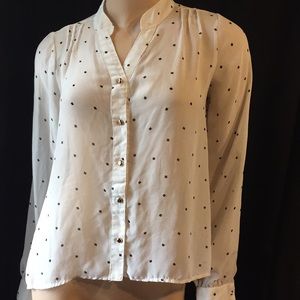 Cream & Black Button Down Blouse by Xhileration